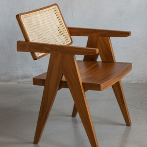 Robot-Frame-Dining-Chair